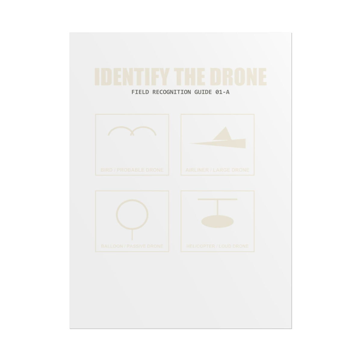 Identify the Drone — Field Guide Poster