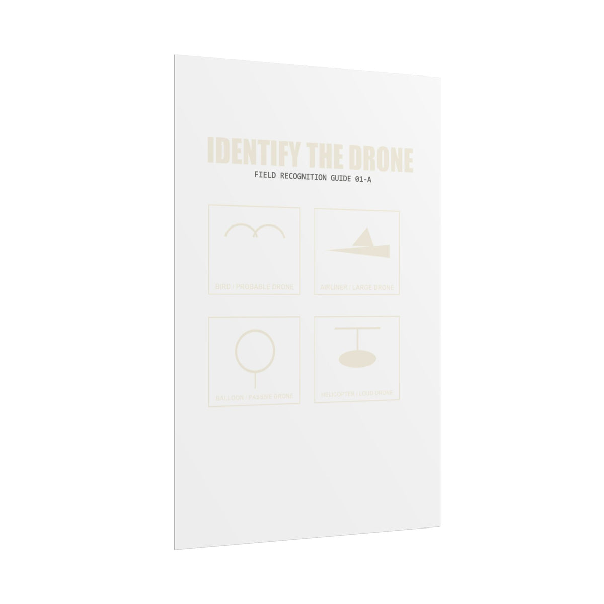 Identify the Drone — Field Guide Poster
