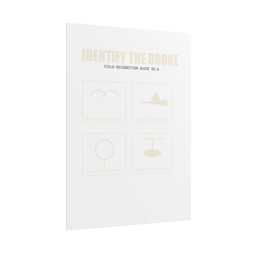 Identify the Drone — Field Guide Poster