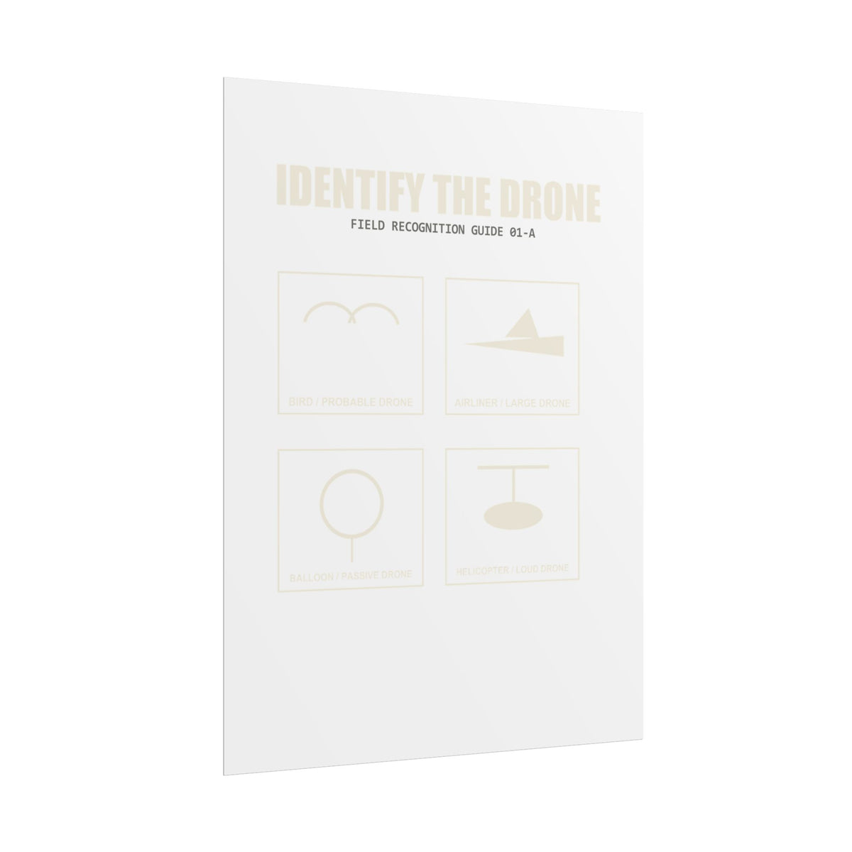 Identify the Drone — Field Guide Poster