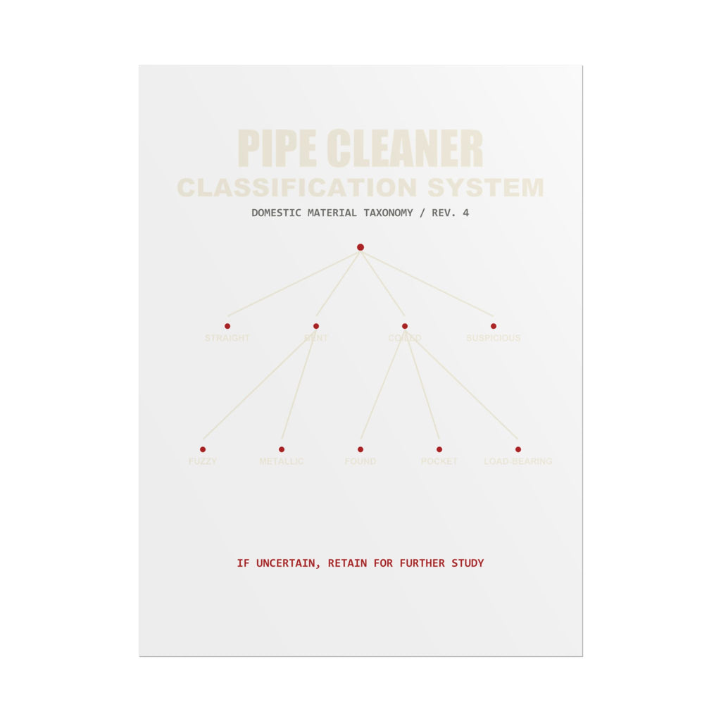 Pipe Cleaner Classification System — Poster