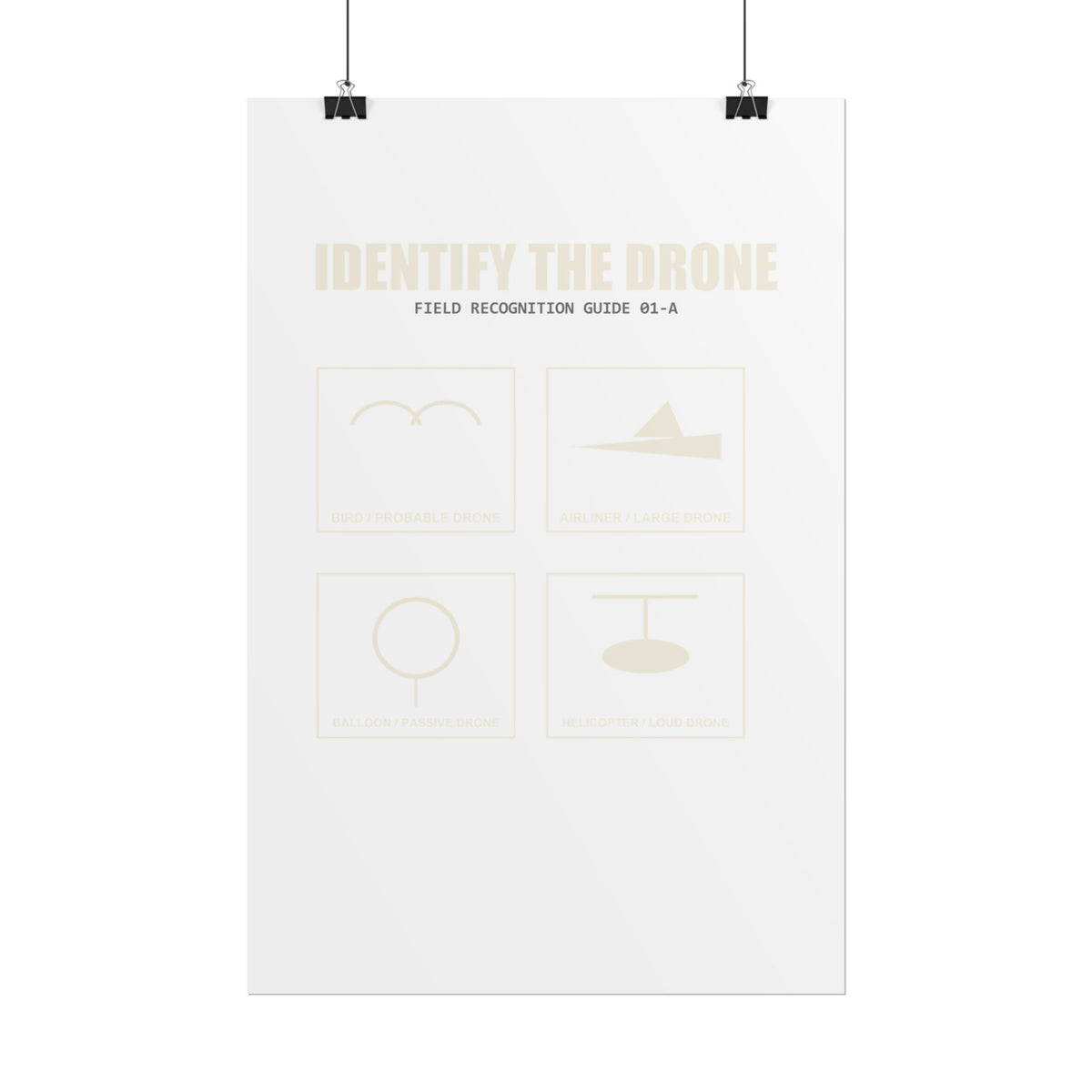 Identify the Drone — Field Guide Poster
