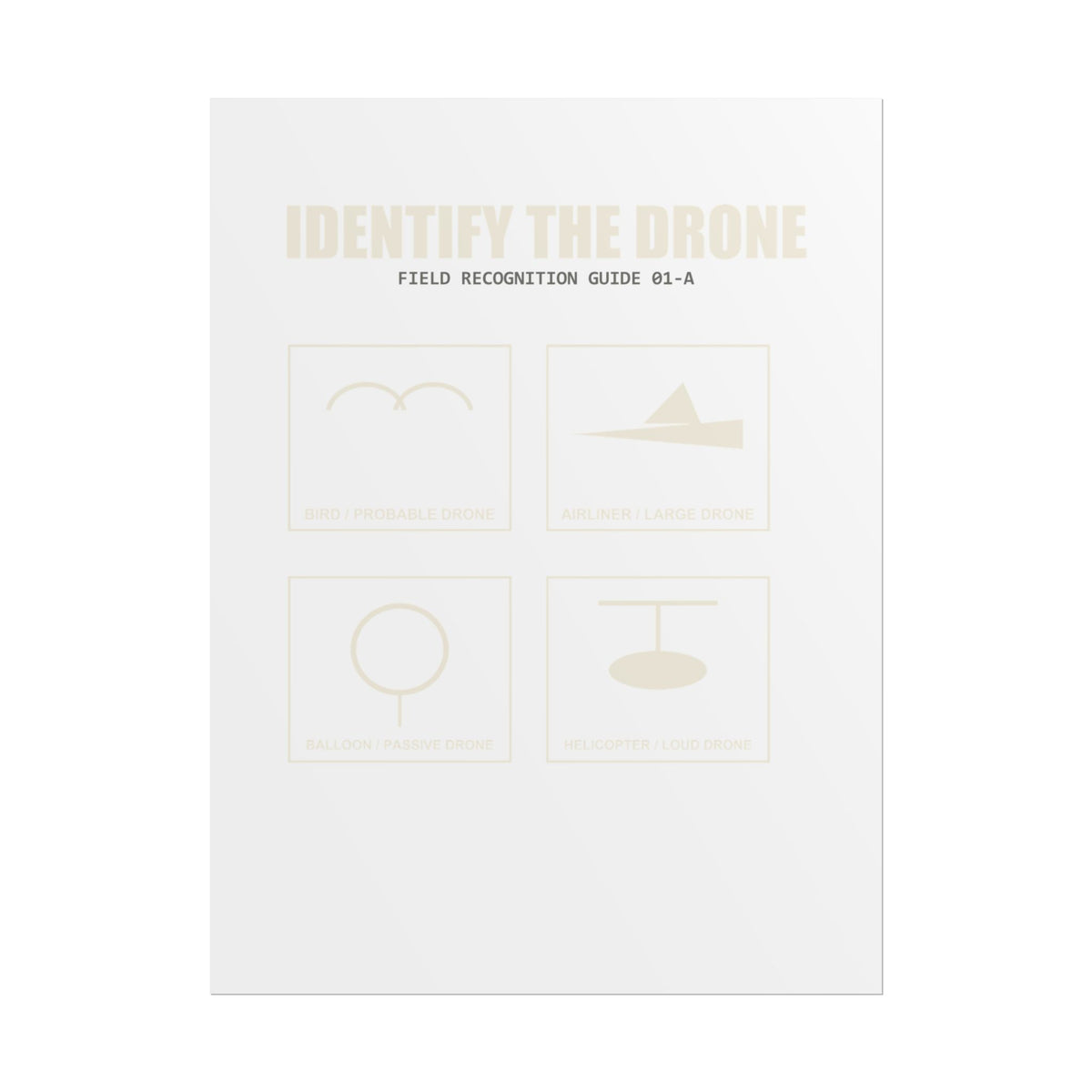 Identify the Drone — Field Guide Poster